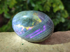 Polished Purple Flash Labradorite Galets x 12 From Tulear, Madagascar - Toprock Gemstones and Minerals 