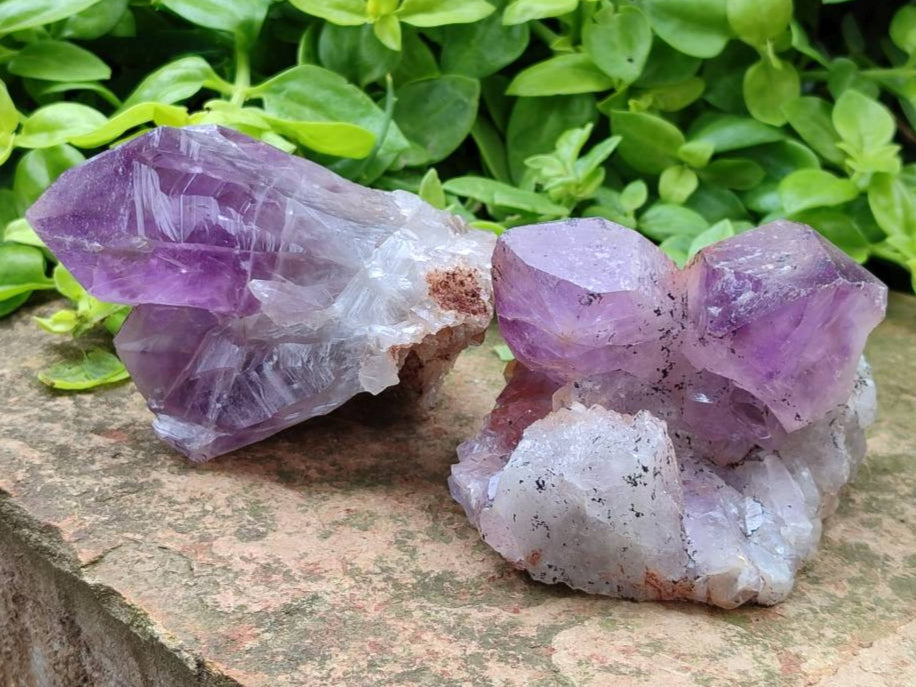 Natural Jacaranda Amethyst Quartz Clusters x 6 From Mumbwa, Zambia - Toprock Gemstones and Minerals 