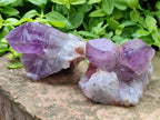 Natural Jacaranda Amethyst Quartz Clusters x 6 From Mumbwa, Zambia - Toprock Gemstones and Minerals 