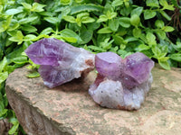 Natural Jacaranda Amethyst Quartz Clusters x 6 From Mumbwa, Zambia