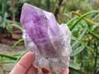 Natural Jacaranda Amethyst Quartz Clusters x 6 From Mumbwa, Zambia - Toprock Gemstones and Minerals 