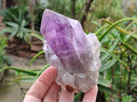 Natural Jacaranda Amethyst Quartz Clusters x 6 From Mumbwa, Zambia