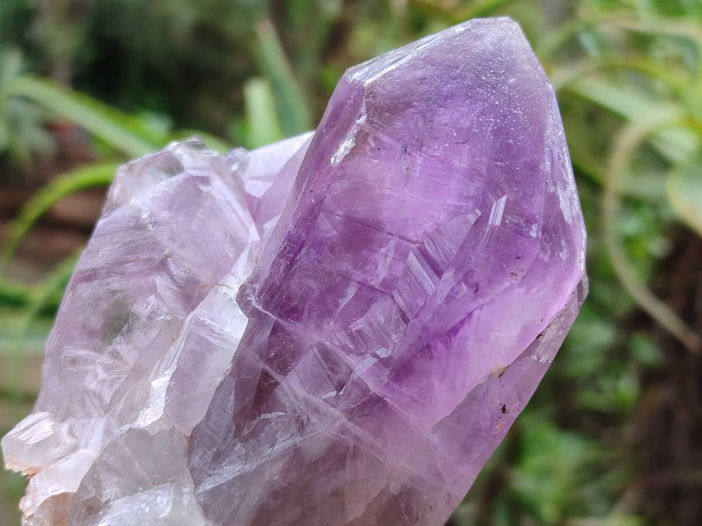 Natural Jacaranda Amethyst Quartz Clusters x 6 From Mumbwa, Zambia - Toprock Gemstones and Minerals 