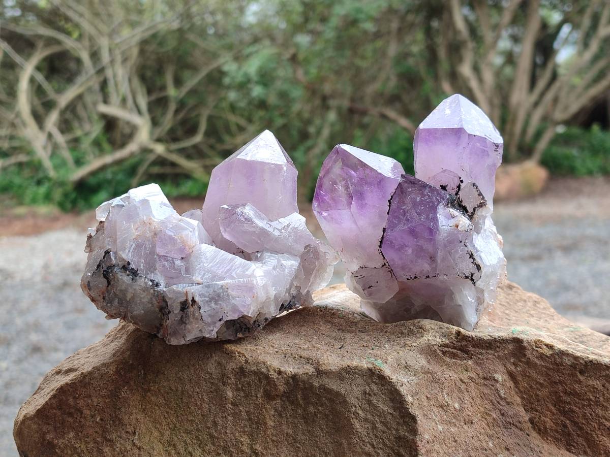 Natural Jacaranda Amethyst Quartz Clusters x 6 From Mumbwa, Zambia - Toprock Gemstones and Minerals 