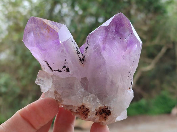 Natural Jacaranda Amethyst Quartz Clusters x 6 From Mumbwa, Zambia