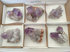 Natural Jacaranda Amethyst Quartz Clusters x 6 From Mumbwa, Zambia - Toprock Gemstones and Minerals 