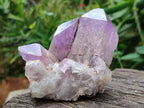 Natural Jacaranda Amethyst Quartz Clusters x 6 From Mumbwa, Zambia - Toprock Gemstones and Minerals 