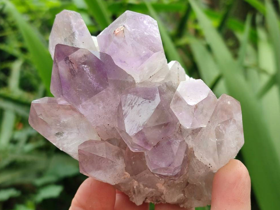 Natural Jacaranda Amethyst Quartz Clusters x 6 From Mumbwa, Zambia - Toprock Gemstones and Minerals 