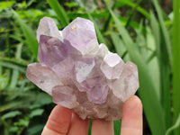 Natural Jacaranda Amethyst Quartz Clusters x 6 From Mumbwa, Zambia