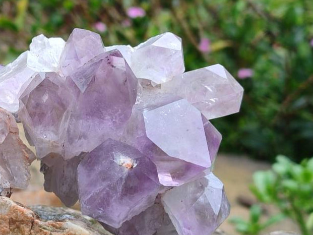 Natural Jacaranda Amethyst Quartz Clusters x 6 From Mumbwa, Zambia - Toprock Gemstones and Minerals 