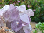 Natural Jacaranda Amethyst Quartz Clusters x 6 From Mumbwa, Zambia - Toprock Gemstones and Minerals 