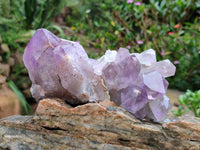 Natural Jacaranda Amethyst Quartz Clusters x 6 From Mumbwa, Zambia