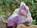 Natural Jacaranda Amethyst Quartz Clusters x 6 From Mumbwa, Zambia - Toprock Gemstones and Minerals 