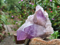 Natural Jacaranda Amethyst Quartz Clusters x 6 From Mumbwa, Zambia