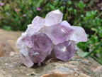 Natural Jacaranda Amethyst Quartz Clusters x 6 From Mumbwa, Zambia - Toprock Gemstones and Minerals 