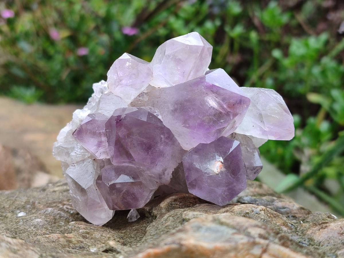 Natural Jacaranda Amethyst Quartz Clusters x 6 From Mumbwa, Zambia - Toprock Gemstones and Minerals 