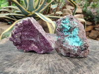 Natural Salrose Cobaltion Dolomite With Botryoidal Chrysocolla & Malachite Specimens x 2 From Kakanda, Congo