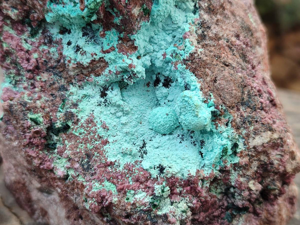 Natural Salrose Cobaltion Dolomite With Botryoidal Chrysocolla & Malachite Specimens x 2 From Kakanda, Congo - Toprock Gemstones and Minerals 