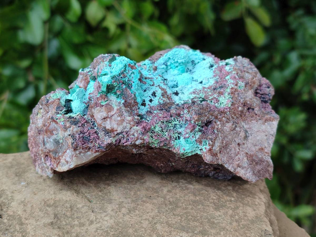 Natural Salrose Cobaltion Dolomite With Botryoidal Chrysocolla & Malachite Specimens x 2 From Kakanda, Congo - Toprock Gemstones and Minerals 