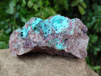 Natural Salrose Cobaltion Dolomite With Botryoidal Chrysocolla & Malachite Specimens x 2 From Kakanda, Congo