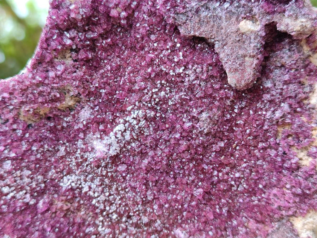 Natural Salrose Cobaltion Dolomite With Botryoidal Chrysocolla & Malachite Specimens x 2 From Kakanda, Congo - Toprock Gemstones and Minerals 