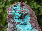 Natural Salrose Cobaltion Dolomite With Botryoidal Chrysocolla & Malachite Specimens x 2 From Kakanda, Congo - Toprock Gemstones and Minerals 