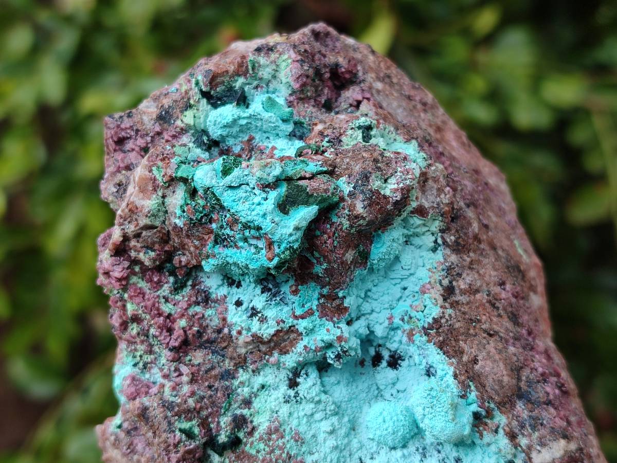 Natural Salrose Cobaltion Dolomite With Botryoidal Chrysocolla & Malachite Specimens x 2 From Kakanda, Congo - Toprock Gemstones and Minerals 