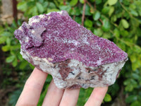 Natural Salrose Cobaltion Dolomite With Botryoidal Chrysocolla & Malachite Specimens x 2 From Kakanda, Congo