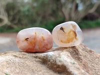 Polished Flower Agate Free Forms x 70 From Antsahalova, Madagascar