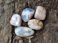 Polished Flower Agate Free Forms x 70 From Antsahalova, Madagascar