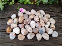 Polished Flower Agate Free Forms x 70 From Antsahalova, Madagascar