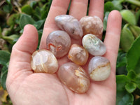 Polished Flower Agate Free Forms x 70 From Antsahalova, Madagascar