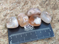 Polished Flower Agate Free Forms x 70 From Antsahalova, Madagascar