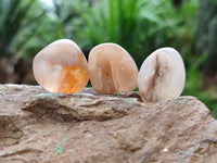 Polished Flower Agate Free Forms x 70 From Antsahalova, Madagascar