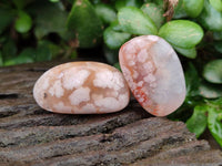 Polished Flower Agate Free Forms x 70 From Antsahalova, Madagascar
