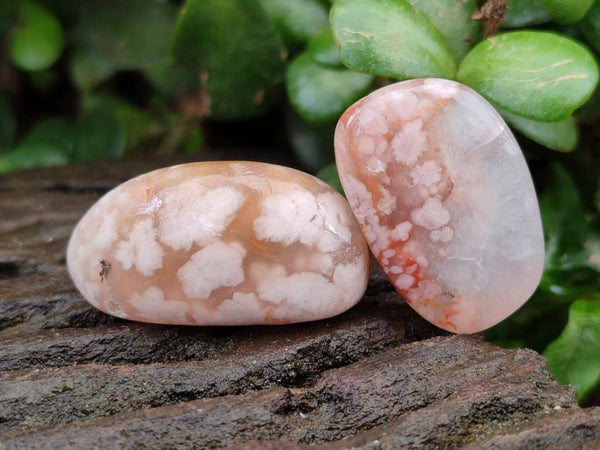 Polished Flower Agate Free Forms x 70 From Antsahalova, Madagascar - Toprock Gemstones and Minerals 