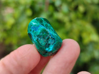Polished Dioptase Free Forms x 20 From Likasi, Congo