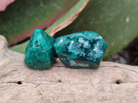 Polished Dioptase Free Forms x 20 From Likasi, Congo