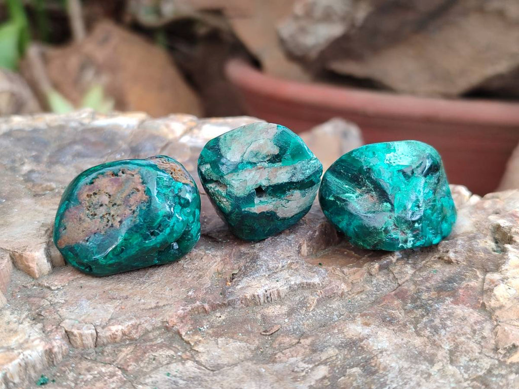 Polished Dioptase Free Forms x 20 From Likasi, Congo - Toprock Gemstones and Minerals 