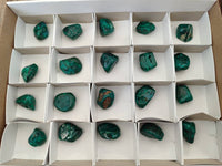 Polished Dioptase Free Forms x 20 From Likasi, Congo