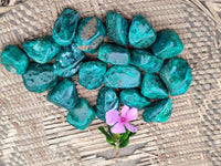 Polished Dioptase Free Forms x 20 From Likasi, Congo