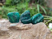 Polished Dioptase Free Forms x 20 From Likasi, Congo