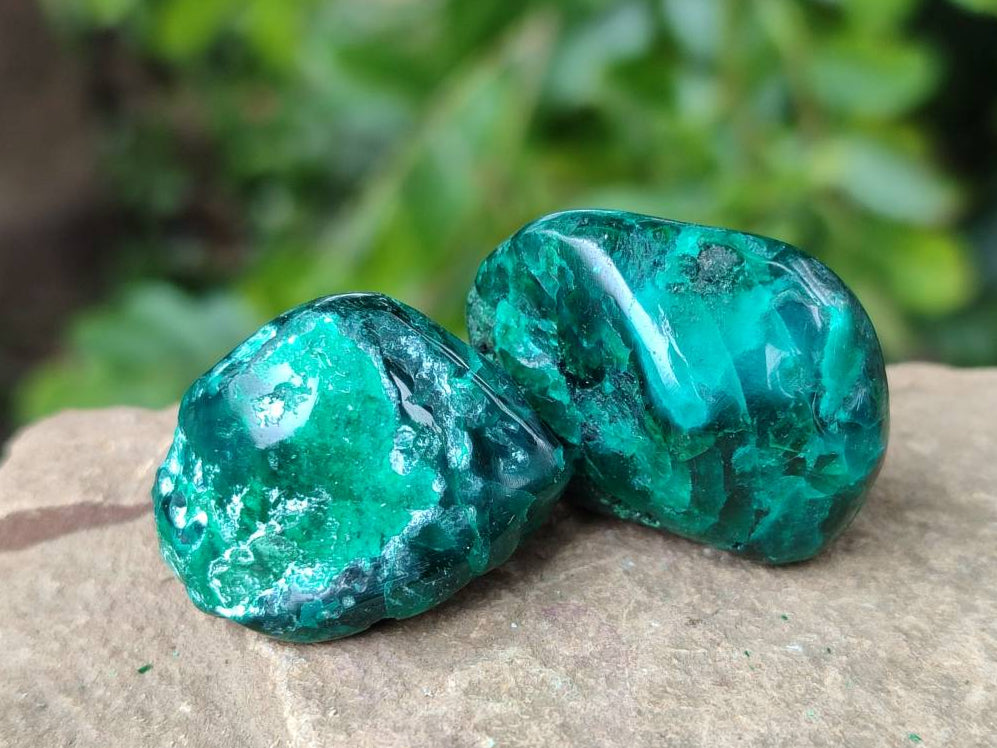 Polished Dioptase Free Forms x 20 From Likasi, Congo - Toprock Gemstones and Minerals 