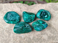 Polished Dioptase Free Forms x 20 From Likasi, Congo