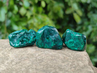 Polished Dioptase Free Forms x 20 From Likasi, Congo