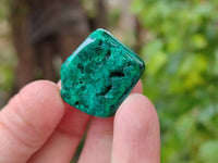 Polished Dioptase Free Forms x 20 From Likasi, Congo