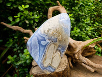 Polished Blue Lace Agate Standing Free Form x 1 From Nsanje, Malawi