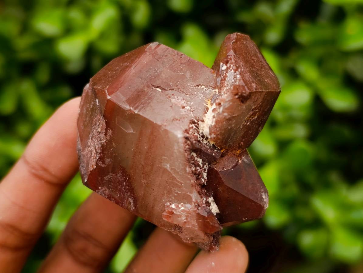 Natural Red Phantom Hematoid Quartz Crystals x 12 From Karoi, Zimbabwe - Toprock Gemstones and Minerals 