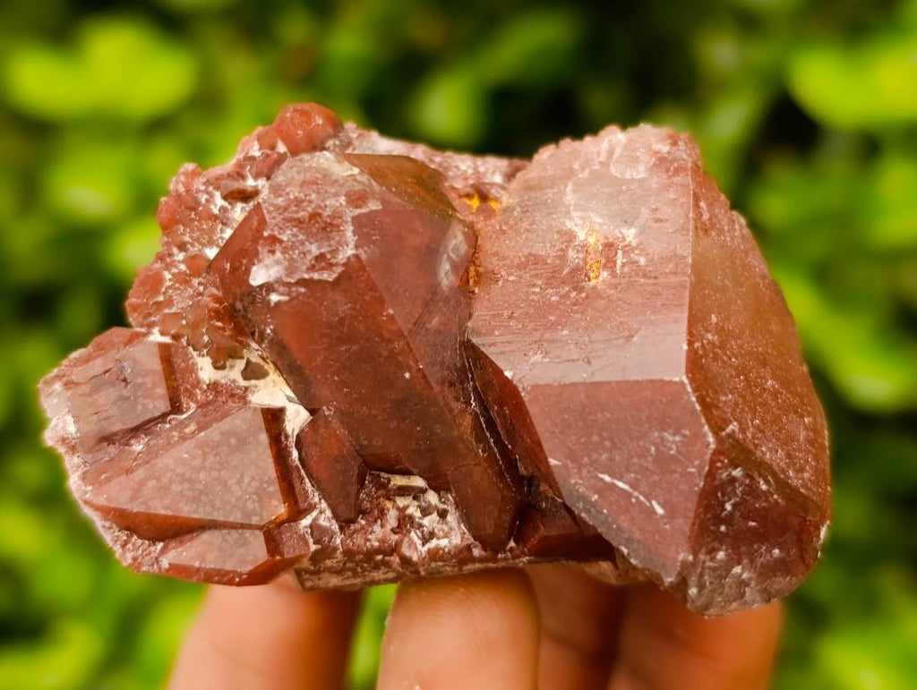 Natural Red Phantom Hematoid Quartz Crystals x 12 From Karoi, Zimbabwe - Toprock Gemstones and Minerals 