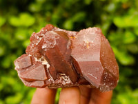 Natural Red Phantom Hematoid Quartz Crystals x 12 From Karoi, Zimbabwe